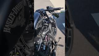 Custom Harley Davidson Sportster Iron 883 iron883 [upl. by Ylekalb]