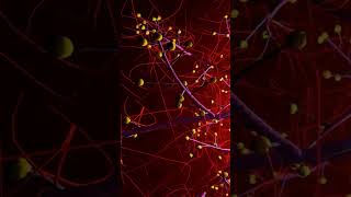 BioflutiAZ Nasal Spray View Uses Side EffectsPriceandfluticasone askpharmacist medicanenasa [upl. by Mara]