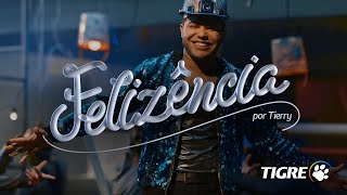 Felizência Clipe Oficial  Tigre  Tierry [upl. by Seto]