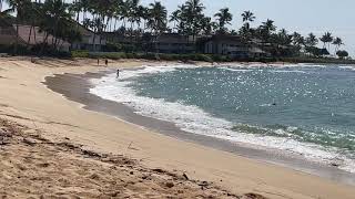 Checking out The Sheraton on Poipu Beach in Kauai [upl. by Lolly709]