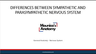 General Anatomy  Differences between Sympathetic and Parasympathetic Nervous System [upl. by Eihtur776]