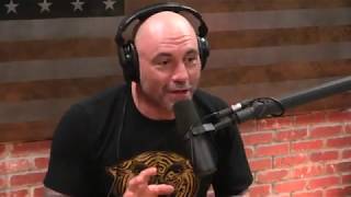 Joe Rogan on Life After Death [upl. by Mukerji]