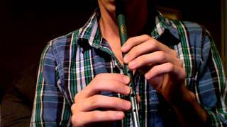 Scarborough Fair  Tin Whistle [upl. by Yunick548]