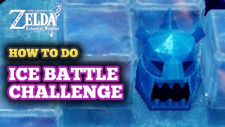 How to Do Blank Slate Battle Ice in Zelda Echoes of Wisdom  Ice Challenge Guide [upl. by Shoshana]