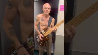 Flea Is The Master Of Slap Bass Flea RHCP RedHotChiliPeppers Live Shorts [upl. by Htirehc509]