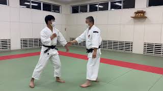 Shorinji Kempo 送小手（片手） Ookuri gote katate 少林寺拳法 [upl. by Now323]