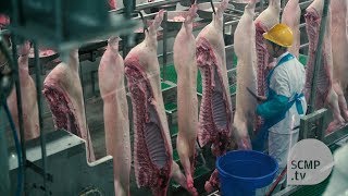 Inside Chinas largest meat production plant [upl. by Torie]