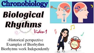 Part1ChronobiologyBiological RhythmsHistory Examples of Biorhythm Biorhytms work independently [upl. by Affay]