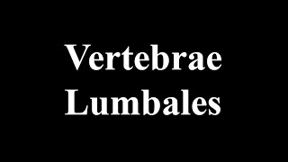 Lumbal Vertebrae [upl. by Atoel]