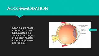 ACCOMMODATION REFRACTION amp AMBLYOPIA [upl. by Ledairam]