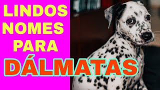 NOMES DE CACHORRO DÁLMATAS MACHO [upl. by Alaehcim]