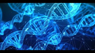 Nucleic acid structure [upl. by Levitus]