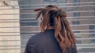 Freeform Locs Update amp ACV Rinse [upl. by Arabel]