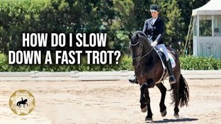 HOW DO I SLOW DOWN A FAST TROT  Dressage Mastery TV Episode 276 [upl. by Epp]