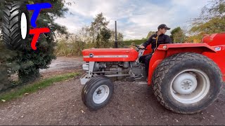 Massey Ferguson 135  Basic Guide  Tractor Talk [upl. by Isnan279]