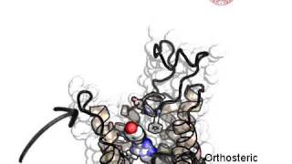 ZM241385hA2A Adenosine Receptor Recognition Supervised Molecular Dynamics [upl. by Eilarol243]