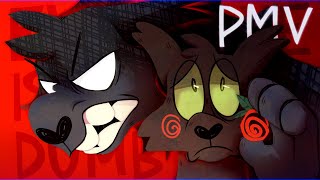 Everyone is dumb  WARRIOR CATS HOLLYLEAF PMV [upl. by Ttegirb]