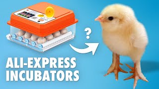 Chinese egg incubators  Do they work Fully Automatic Chicken Egg Incubator [upl. by Teevens]