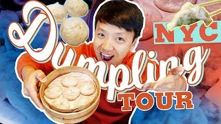 BEST DUMPLINGS in New York Dumpling Tour of New York City [upl. by Yrod]