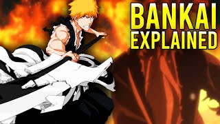 Bankai EXPLAINED [upl. by Nairrot]