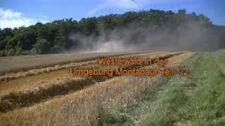 Modernster Massey Ferguson Mähdrescher im Einsatz im Westerwald in der Umgebung Montabaur Teil 12 [upl. by Eigriv]