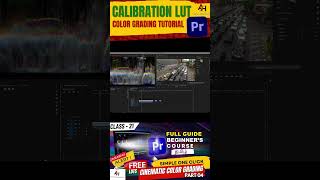 Master Calibration LUTs in Premiere Pro in 60 Seconds 🎨✨ [upl. by Lotsirk]