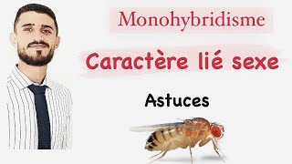 Monohybridisme  caractère lié au sexe  astuces avec prof faress [upl. by Anelej]