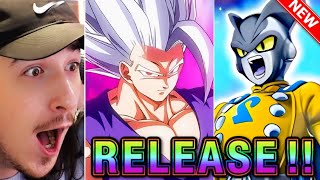 NEW LR Beast Gohan amp Gamma 1 and 2 Summons on Dokkan Battle 9th Anniversary [upl. by Rosemarie]