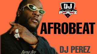 🔥BEST OF NAIJA AFROBEAT VIDEO MIX 2021  AFROBEAT 2021  DJ PEREZ DavidoWizkidBurna BoyOmah Lay [upl. by Bremen]