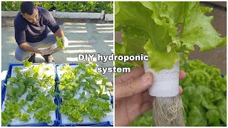 DIY Hydroponic Garden How to DESIGN and BUILD an INEXPENSIVE SYSTEM for GROWING PLANTS in WATER [upl. by Cayla280]