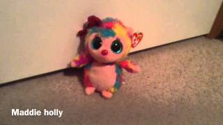 The new intro for my new Beanie Boo series [upl. by Ramirolg836]