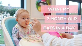 WHAT MY 7MONTH OLD EATS IN A DAY [upl. by Saravat]