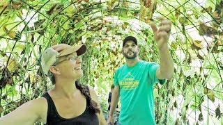 What it REALLY takes to grow your own food  Living Traditions Homestead Tour [upl. by Eserahc]