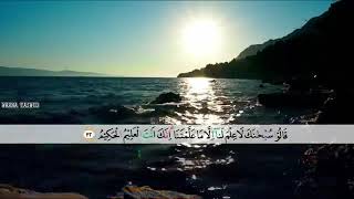 سورة البقرة القاريء الشيخ إسماعيل النوري Surah Al Baqarah Sheikh Ismail Annuri [upl. by Esinwahs]