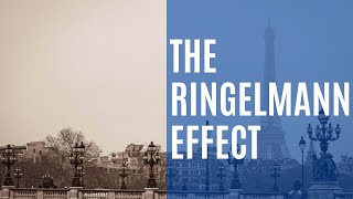 Are people naturally lazy  The Ringelmann Effect  Crazy Science 3 [upl. by Rehtul]