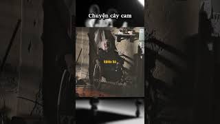 Chuyện cây cam [upl. by Amahcen]