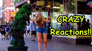 Bushman Prank 2021 Love Laughter amp Screams [upl. by Aivataj]