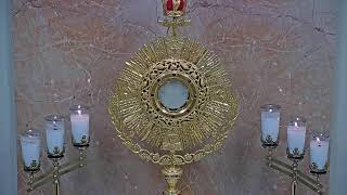 Adorecast – 247 Live Eucharistic Adoration [upl. by Teece195]