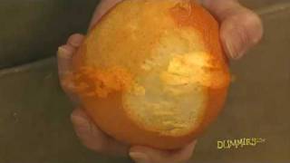 How to Zest Citrus Fruit For Dummies [upl. by Cesya]