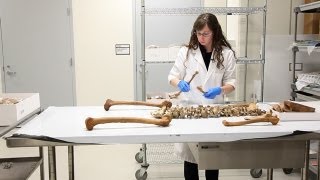 What These Human Skeletal Remains Tell Anthropologists [upl. by Crim]