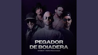 Pegador de Boiadeira [upl. by Eissed]