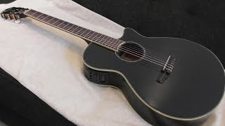 Ibanez AEG10NII Nylon String Cutaway AcousticElectric Guitar REVIEW [upl. by Tartaglia]