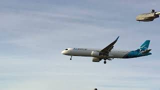 planes landing pearson airport toronto planes planespotting avgeek viral shorts [upl. by Morril]