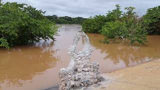 Rio Parnaiba quase transbordando Teresina Piauí [upl. by Enimassej]