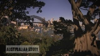 Wendy Whiteleys Lavender Bay garden oasis has become a Sydney icon [upl. by Hgielrebma599]