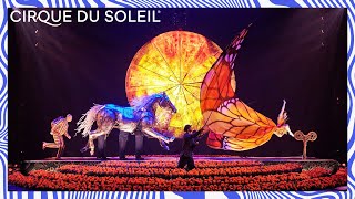 LUZIA by Cirque du Soleil  Official Trailer  Cirque du Soleil [upl. by Markowitz617]