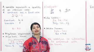 Class 6  Mathematics  Chapter 8  Lecture 1  Introduction to Algebra  Allied Schools [upl. by Tayib]