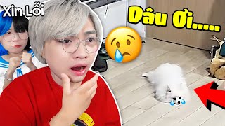 😭 Tui Hối Hận Vì Bỏ Rơi Bé Dâu 10 Ngày  Kairon Và Simmy Theo Dõi Bé Dâu [upl. by Lienet]