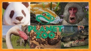 All 76 animals in Planet Zoo [upl. by Janine220]