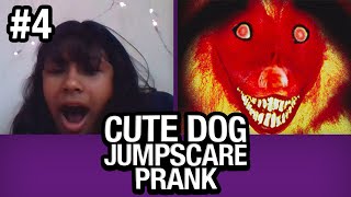 Cute Dog JUMPSCARE PRANK on Omegle 4 [upl. by Heinrich]